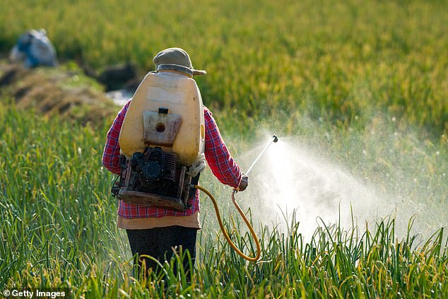 Pesticide warning as study finds link to terrifying motor neurone disease – exposure could raise risk by up to 70%