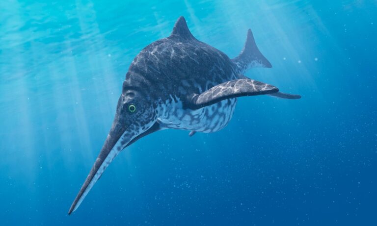 An Ichthyosaur’s terrible, horrible, no good, very bad day 160 million years ago