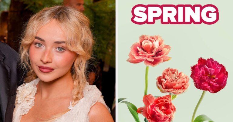 Choose Between These Pop Artists To Reveal Which Season You Are