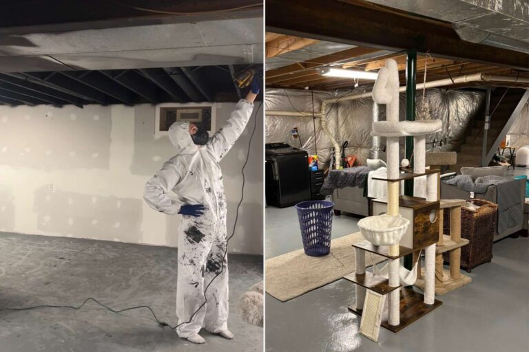 Woman Spends $17,000 to Turn Her Basement into a Sanctuary for Her Disabled Cats (Exclusive)