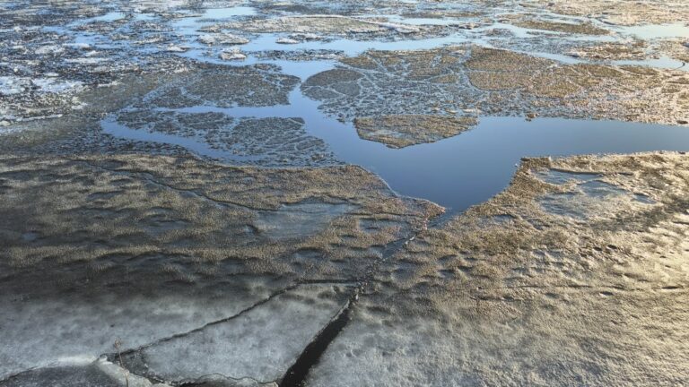 It’s 90 degrees in the Arctic right now