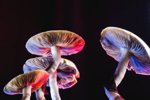 Psilocybin could kick-start anorexia recovery, early results suggest