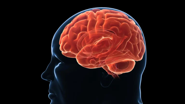 Your brain may be wired to regain lost weight