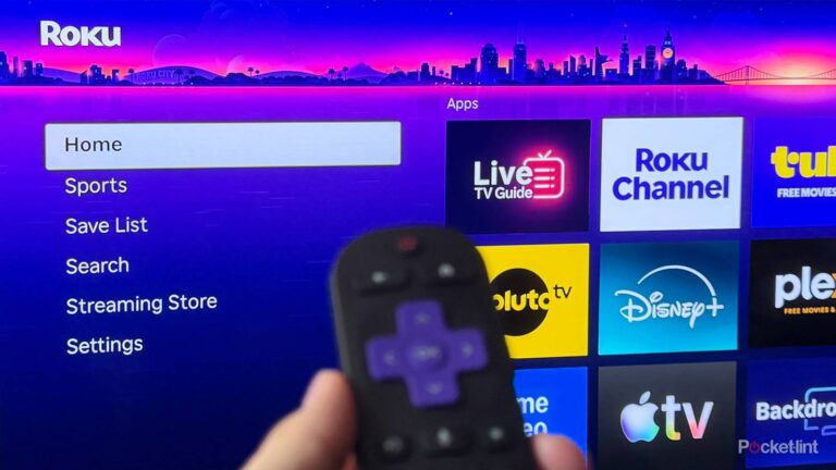 Roku’s free live TV lineup just got bigger with 4 new channels